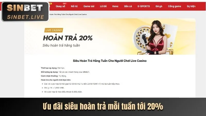 Cá Cược Thể Thao BK8VIE